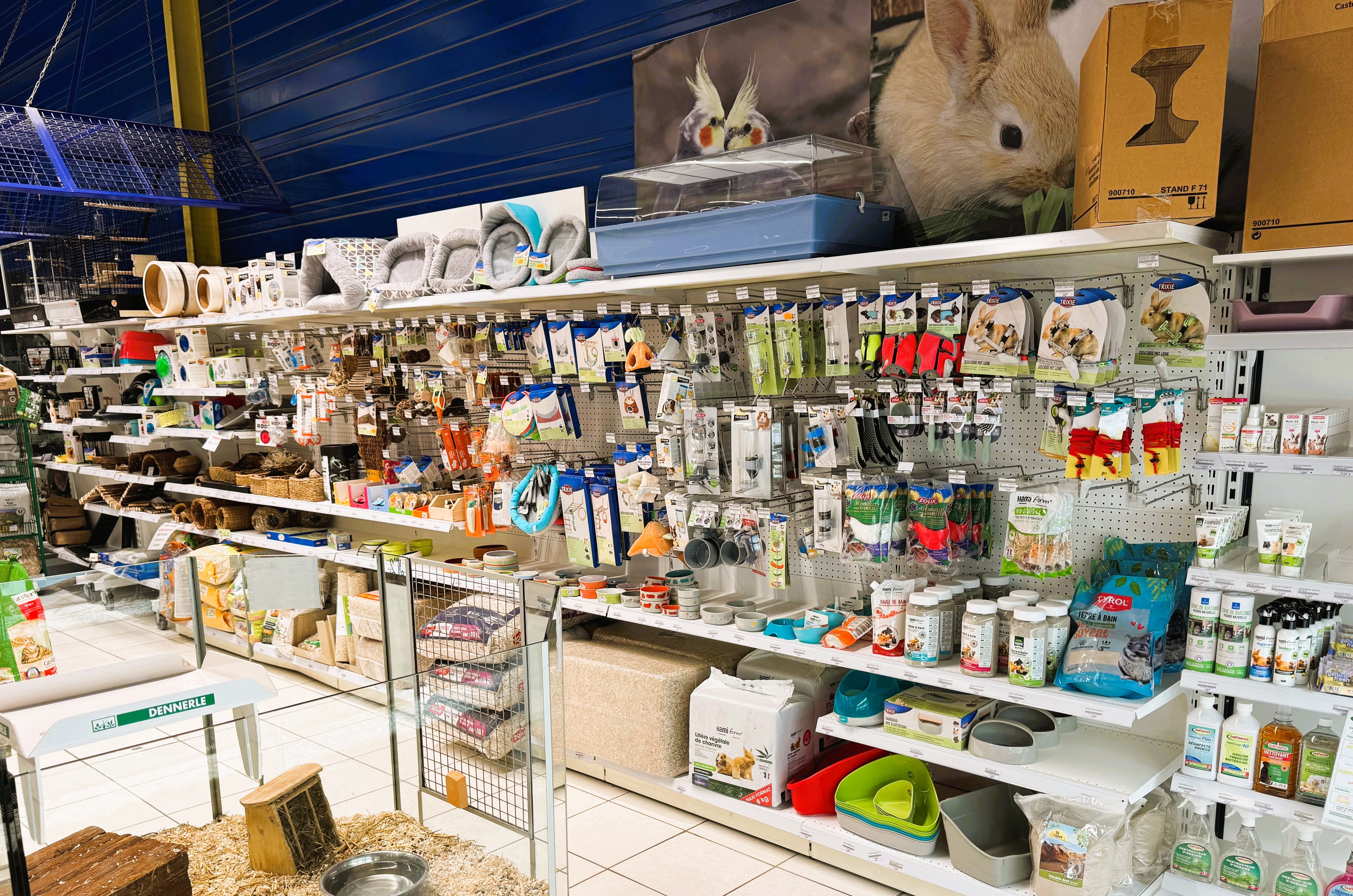 Nos petits Rongeurs !